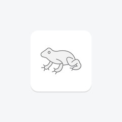 Surinam Toad, vector, pixel perfect, illustrator file