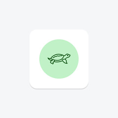 Softshell Turtle, vector, pixel perfect, illustrator file