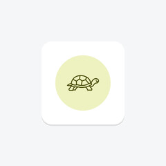 Desert Tortoise, vector, pixel perfect, illustrator file