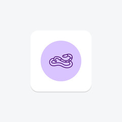 Obraz premium Rosy Boa, vector, pixel perfect, illustrator file