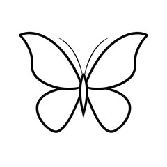 butterfly vector illustration