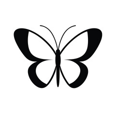 butterfly vector illustration