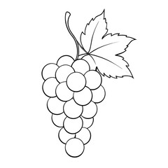 Black and White Line Drawing of a Grape Bunch with Leaves – Fruit Illustration"


