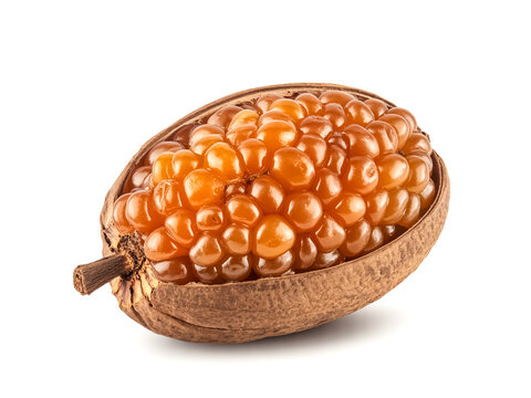 A whole Lanzon fruit cluster brown exterior and jelly interior isolated on white background