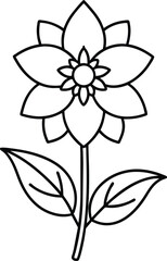 Simple Line Flower Design Botanical Illustration