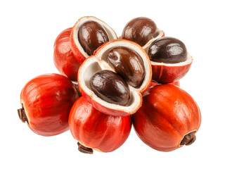 Obraz premium A fresh guarana fruit cluster isolated on white background red shells opened glossy black seeds