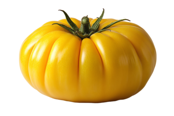 a yellow tomato with green stem