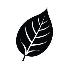 Leaf Veins Coaster Vector Silhouette Art