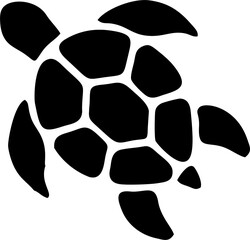 vector illustration of a turtle 