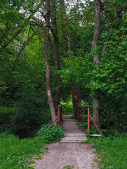 Wooden bridge crossing a stream in a lush forest