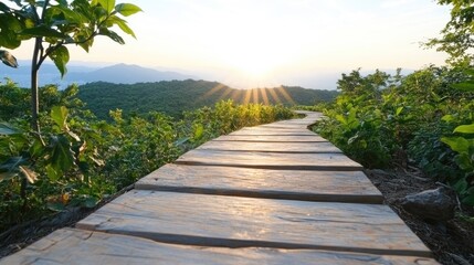 Wooden boardwalk sunrise view nature