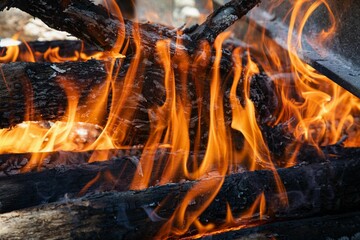 Close-up of vibrant flames consuming logs.