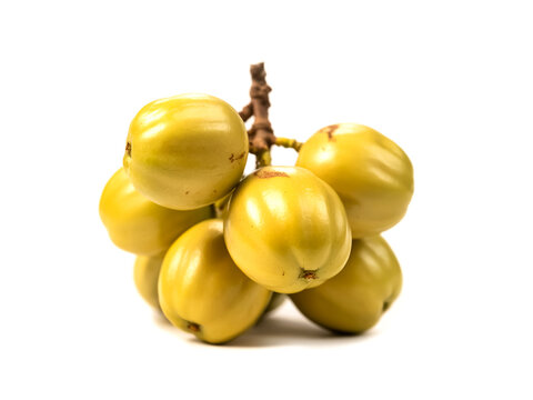 A rambai fruit cluster isolated on white background pale yellow skin exotic tropical drupe