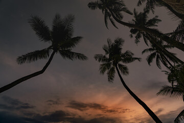 sea, sun and sand. White sand beach with blue water, white sand and palm trees. Summer vacation vibes. Beaches in asia.