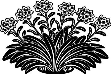 black and white flower