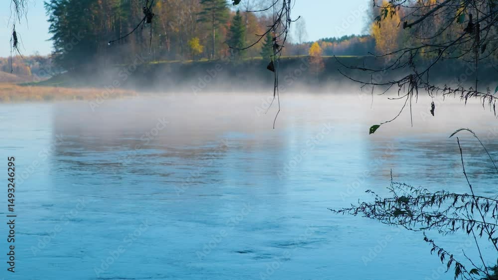 Poster Autumn grass and trees with water drops swaying slowly against the background of flowing water in a misty river, meditation of calmness and contemplation of nature concept