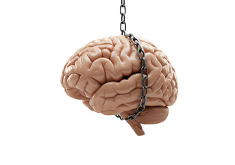 Brain in Chains A Metaphor for Mental Constraints and Limitations