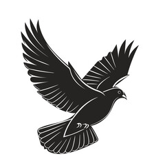 pigeon  vector illustration silhouette image