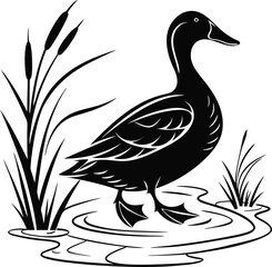 Duck  vector illustration silhouette image