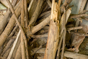 Pile of weathered wood branches and sticks, Pile of Dry Decaying Branches on the Ground.
