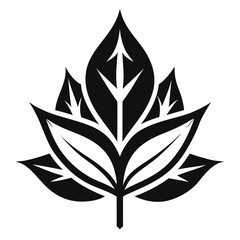 black and white flower