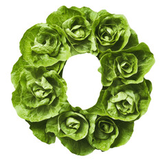 Obraz premium Fresh green lettuce leaves arranged in a circular pattern forming a wreath isolated on white background