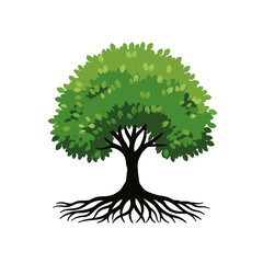 Oak Tree Illustration