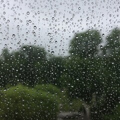 Rainy window with water droplets and blurred background trees rain wallpaper 4k | rain aesthetic wallpaper 4k | rain frog | rain news weather report monsoon