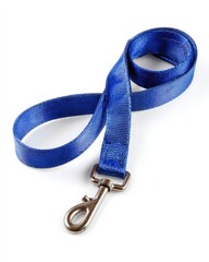 A vibrant blue pet leash with a sturdy metal clasp, ready for a walk.  Perfect for small to medium-sized dogs.