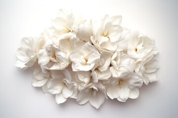 A cluster of white gardenias, with glossy petals and a delicate fragrance, isolated on a white backdrop