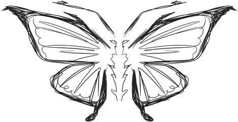 butterfly