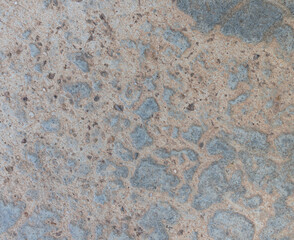 Texture of grey concrete wall for background	