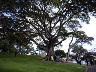 Australia in 2007, random snapshot