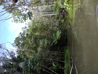 Australia in 2007, random snapshot