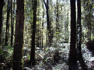 Obraz premium Australia in 2007, random snapshot