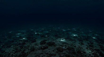 Obraz premium A deep sea scene with rocks and shimmering light reflecting off the ocean floor