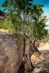 Mediterranean, Greece, travel, nature, architecture, sea, coast, landscape, historic, summer, tourism, traditional, scenic, outdoors, island, culture, rustic, stone, village, sky