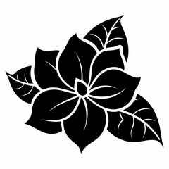 black and white flower
