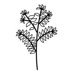 Obraz premium dry tree outline silhouette