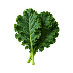 Fresh green kale leaves isolated on transparent background. Organic leafy vegetable rich in vitamins, perfect for healthy eating, diet, vegan recipes, or clean food concepts