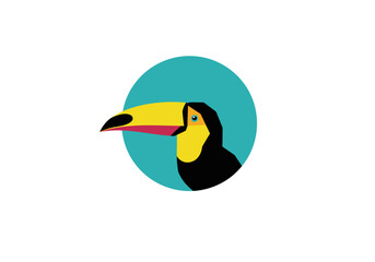 Stylized Toucan Portrait with Teal Circle Backdrop and Geometric Design