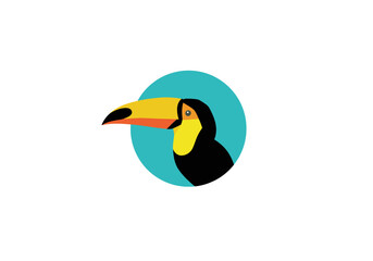Stylized Toucan Portrait with Bold Colors and Circular Teal Backdrop