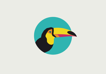 Vibrant Toucan Portrait in a Teal Circle