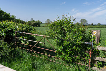 Fototapeta premium View from a gate