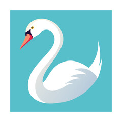A graceful white swan with a curved neck against a turquoise background