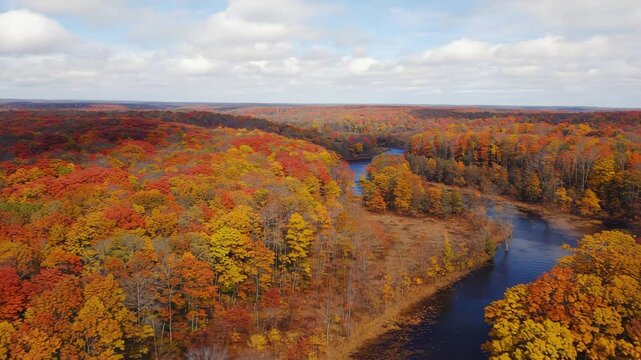 colorful autumn forest with winding river running through orange trees, scenic aerial landscape perfect for travel, seasonal beauty, or relaxing natural visuals