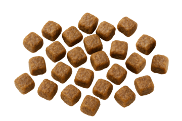 Delicious pet food kibble pieces scattered on surface, showcasing their appealing texture and color