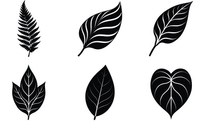 Indoor Plant Leaf Silhouette Collection – Vector Set of Decorative Houseplant Foliage, detailed leaves for Botanical, Minimalist, and Home Interior Design Projects © Wasim