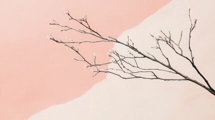 Branch with budding leaves on a pink and cream colored background
