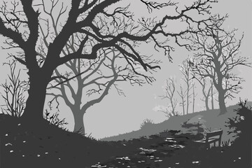  high contrast, moody, atmospheric, dark, gloomy, eerie, bare trees, twisted branches, winding trail, wooden bench, fallen leaves, monochrome, grayscale, dramatic lighting, cinematic, moody landscap